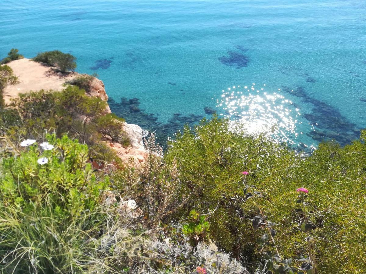 Cabo Roig Bellavista III Apartment ภายนอก รูปภาพ