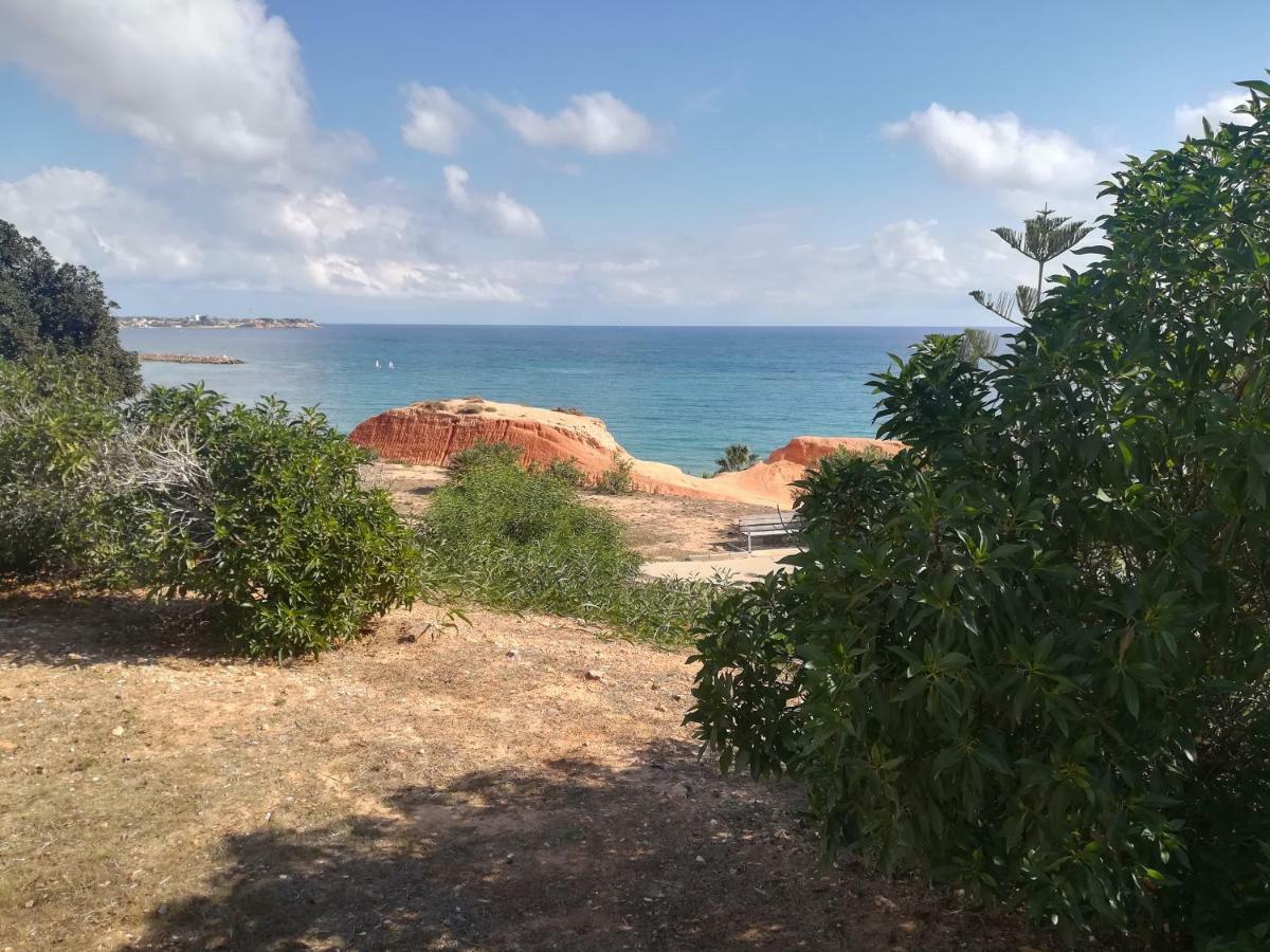 Cabo Roig Bellavista III Apartment ภายนอก รูปภาพ